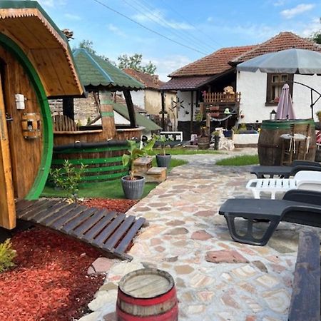 Vila Milica & Spa Aleksandra Dimitrovgrad Exterior photo